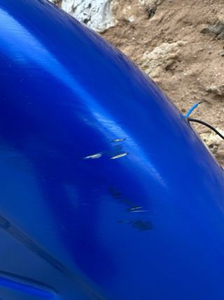 Chasis Vespa 150s Azul