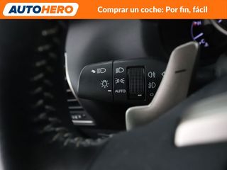 Lexus NX NX 300h Sport Edition