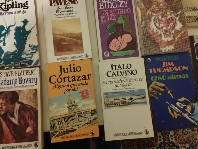 20 libros literatura para J. Carlos.