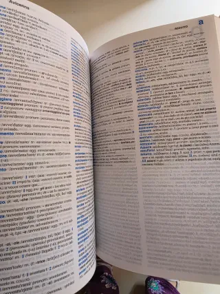 Dizionario spagnolo. Spagnolo-italiano, italian...