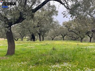 Terreno en venta en Jerez de los Caballeros