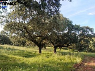 Terreno en venta en Jerez de los Caballeros