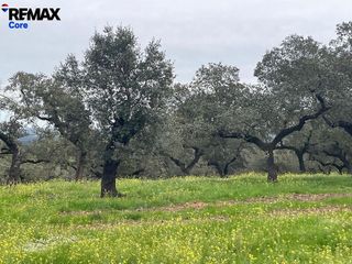 Terreno en venta en Jerez de los Caballeros