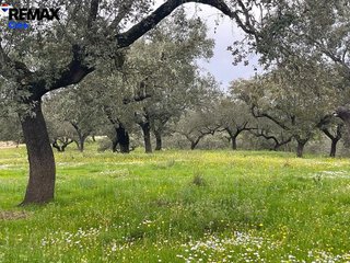 Terreno en venta en Jerez de los Caballeros