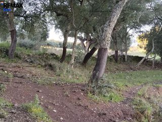 Terreno en venta en Jerez de los Caballeros