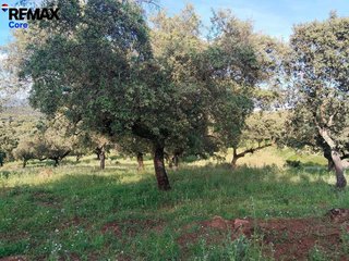 Terreno en venta en Jerez de los Caballeros