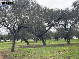 Terreno en venta en Jerez de los Caballeros