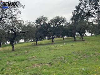 Terreno en venta en Jerez de los Caballeros