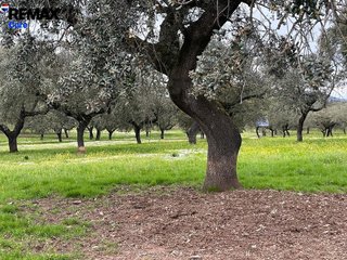 Terreno en venta en Jerez de los Caballeros