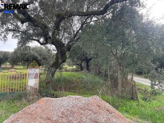 Terreno en venta en Jerez de los Caballeros