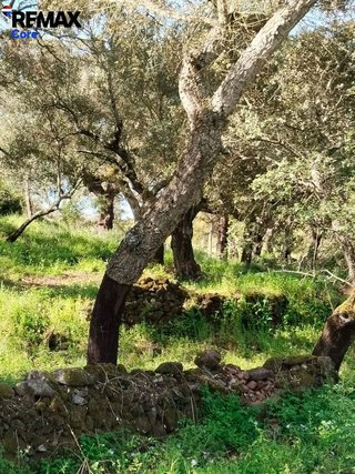 Terreno en venta en Jerez de los Caballeros
