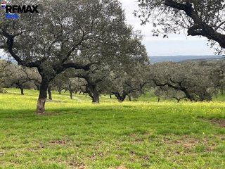 Terreno en venta en Jerez de los Caballeros
