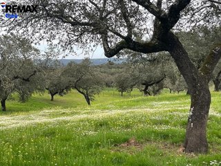 Terreno en venta en Jerez de los Caballeros
