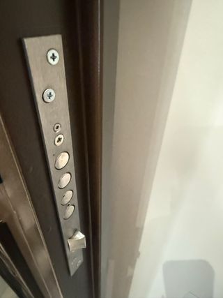 Puerta seguridad con 2 ventanas cristal