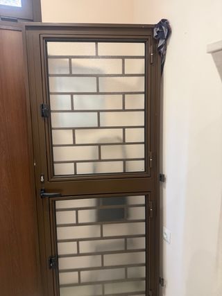Puerta seguridad con 2 ventanas cristal