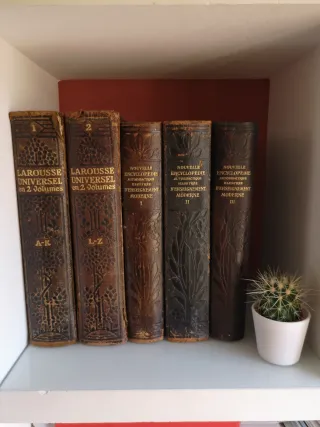 LOTE DE REVISTAS Y LIBROS ANTIGUOS