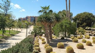 Local comercial en alquiler en Paus - Poligono San Blas en Alicante
