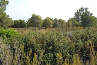 Terreno en venta en Calafat en Ametlla de Mar, l´