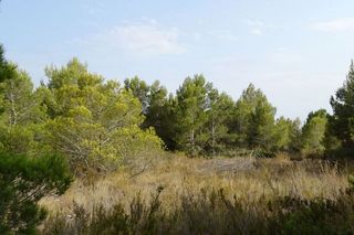 Terreno en venta en Calafat en Ametlla de Mar, l´