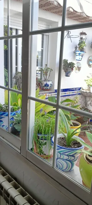 Ventanas aluminio con palillería y doble cristal