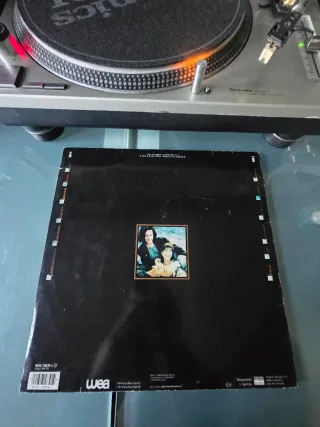 Vinilo Presuntos Implicados - Ser de Agua