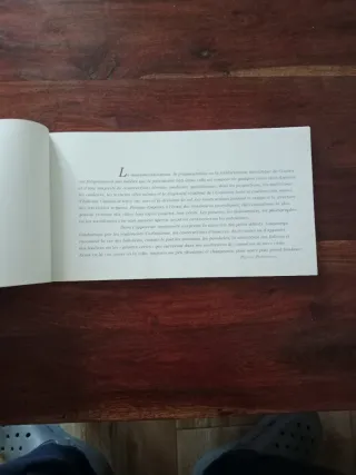 Bruxelles sous les tabatières de zinc