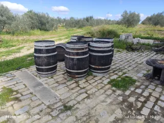 Botas de vino