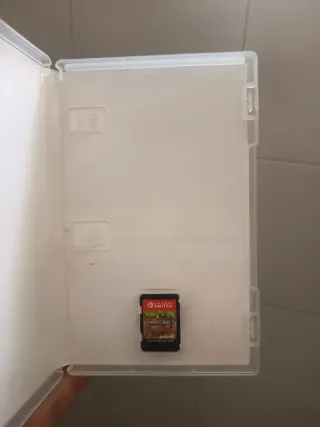 Minecraft Nintendo Switch