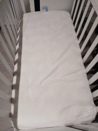 Cuna Micuna Koala Blanca