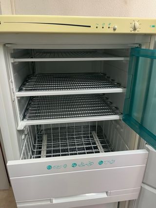 Congelador Vertical IGNIS