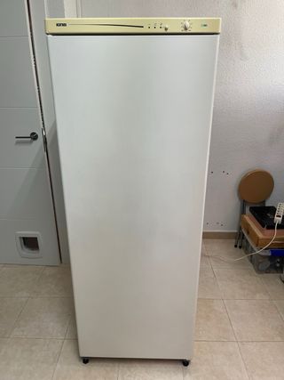 Congelador Vertical IGNIS