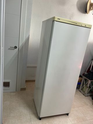 Congelador Vertical IGNIS