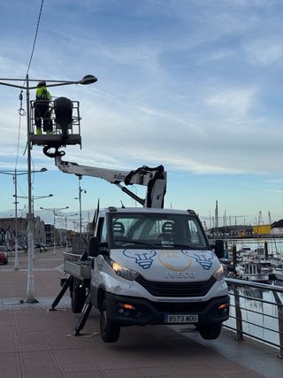 Alquiler camion cesta