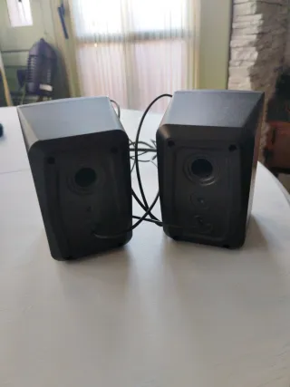 Altavoces EVS Negros