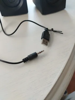 Altavoces EVS Negros