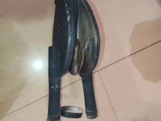 Antiguo fuelle madera y cing fumigar (Pava)