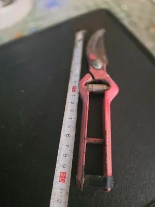 Set di forbici da giardino e rastrello