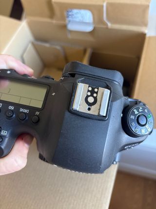 Canon 6D Mark II full frame