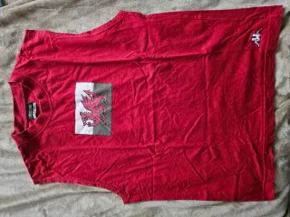 2 Canotte Kappa L - Galles & Germania