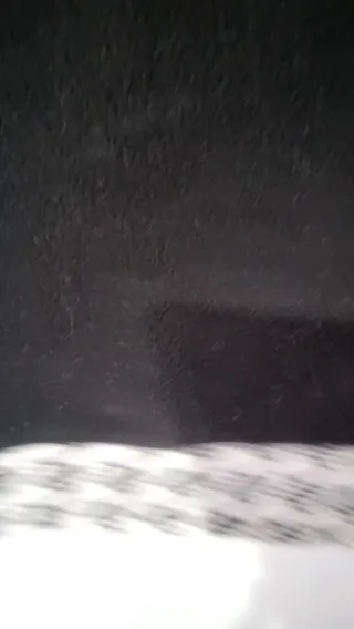 Minifalda polar negra