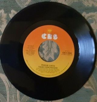 Disco vinile Phoebe Cates,Paradise film theme 1982