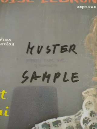 Louise Lebrun Soprano - Kuster Sample