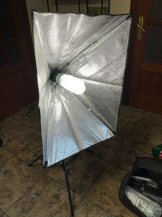 Focos de estudio para fotografía