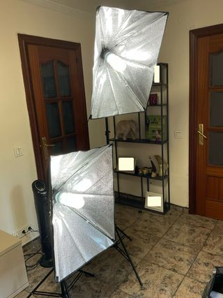 Focos de estudio para fotografía