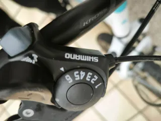 Bicicleta infantil Kross 20