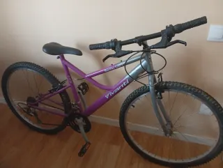 Bicicleta de montaña