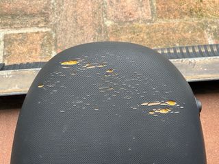 Asiento Zip Scooter Negro