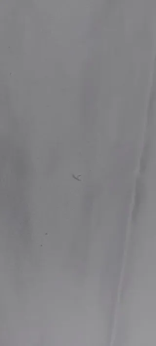 Fodera Cuscino Anime Polyester Rosso Blu