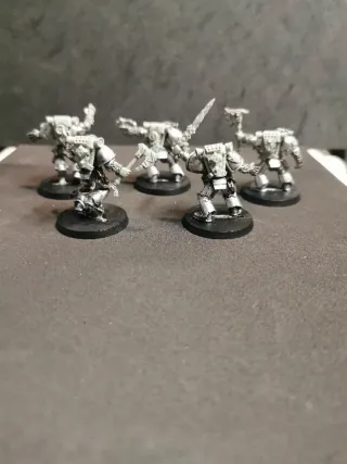 Warhammer 40k Wulfen 13th Company