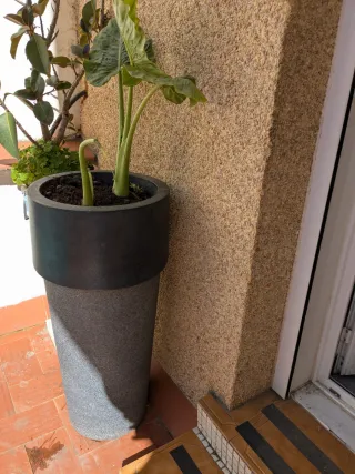 Maceta grande negra y gris